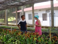 at Taiwanese agricultural mission at Orange Hill, St. Vincent in 2008